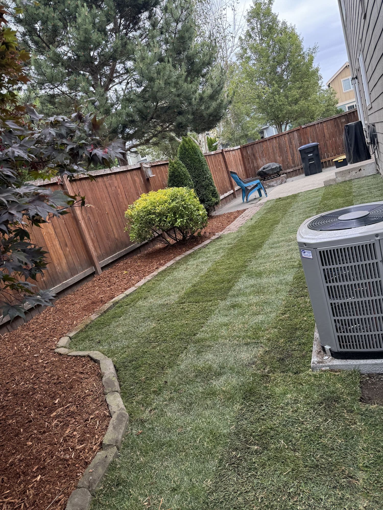 Freshly mowed striped lawn maintenance